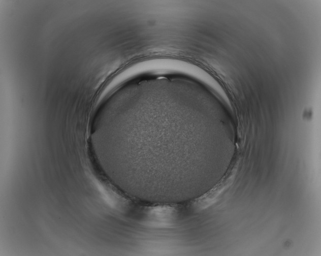 X0000091360168200708171531