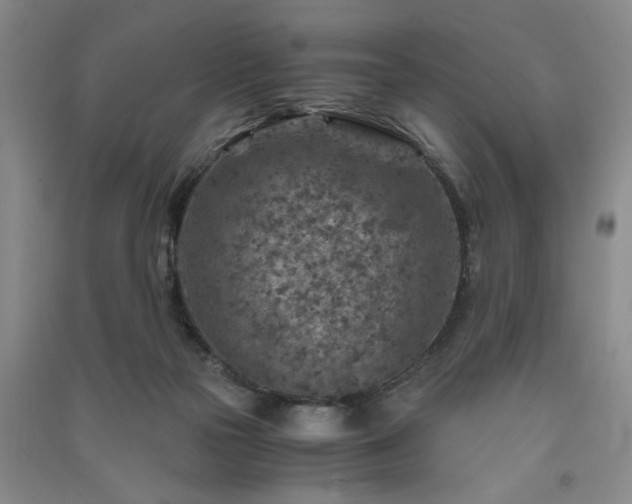X0000091360169200708171531