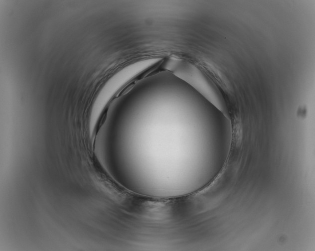 X0000091360170200708171531