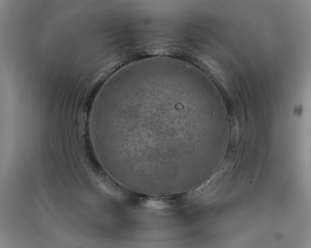 X0000091360171200708171531