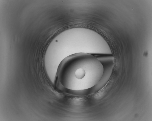 X0000091360172200708171531