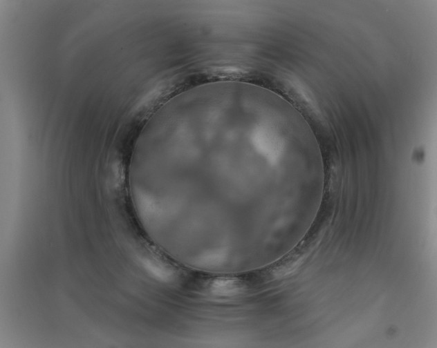 X0000091360173200708171531