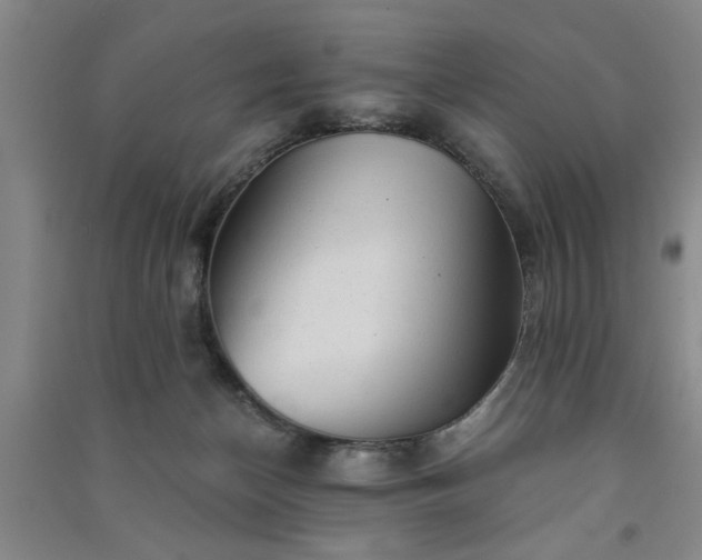 X0000091360174200708171531