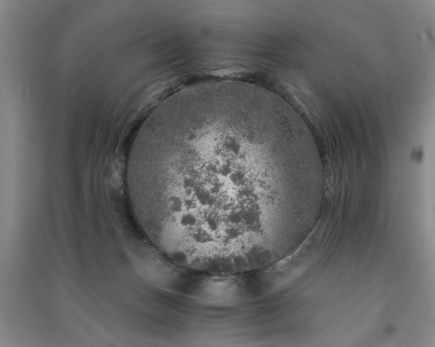 X0000091360175200708171531