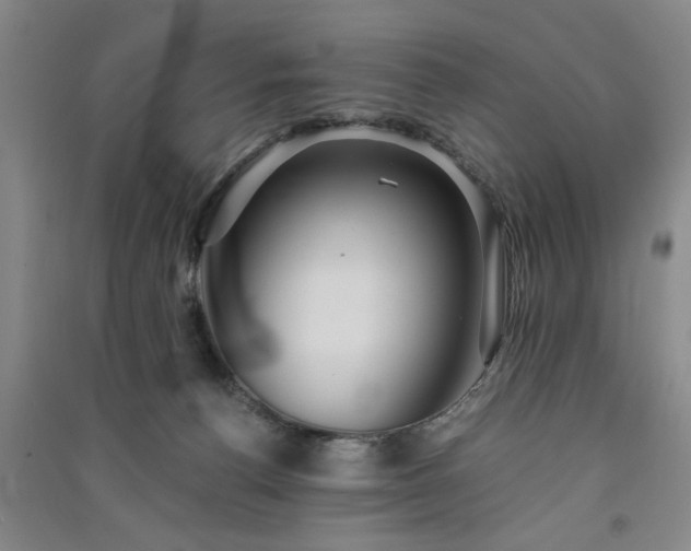 X0000091360176200708171531