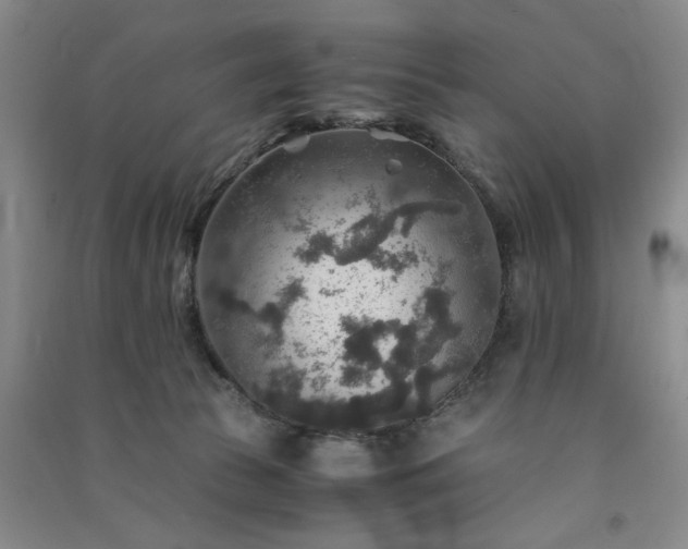 X0000091360177200708171531