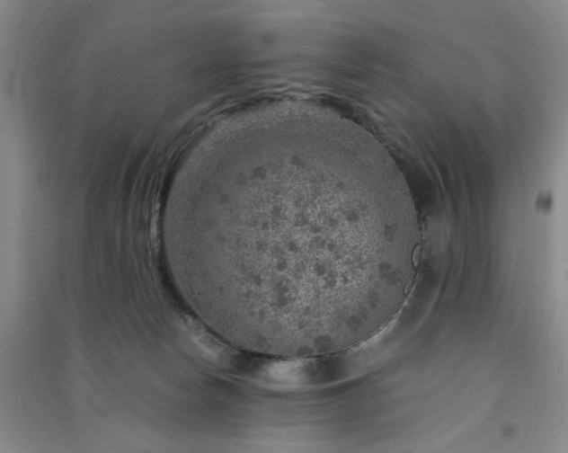 X0000091360178200708171531