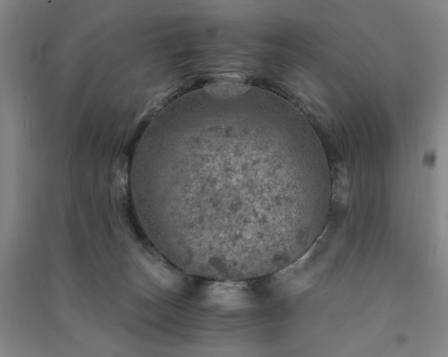 X0000091360179200708171531
