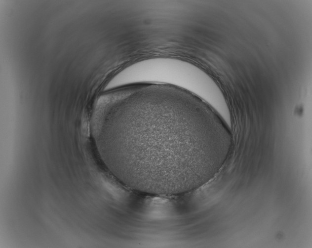 X0000091360180200708171531