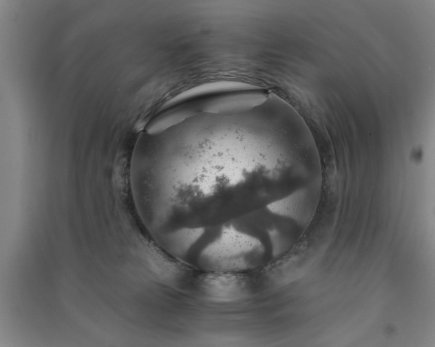 X0000091360181200708171531