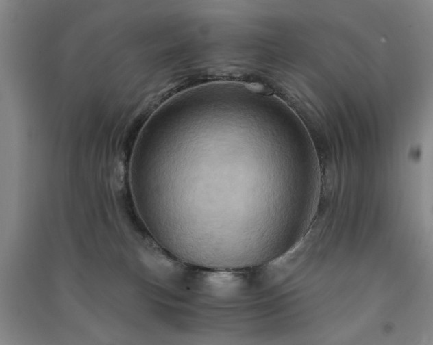 X0000091360183200708171531