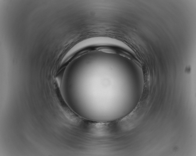 X0000091360184200708171531