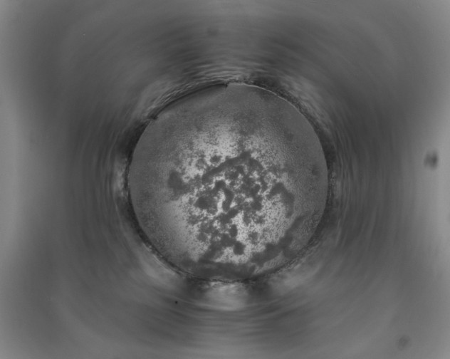 X0000091360185200708171531