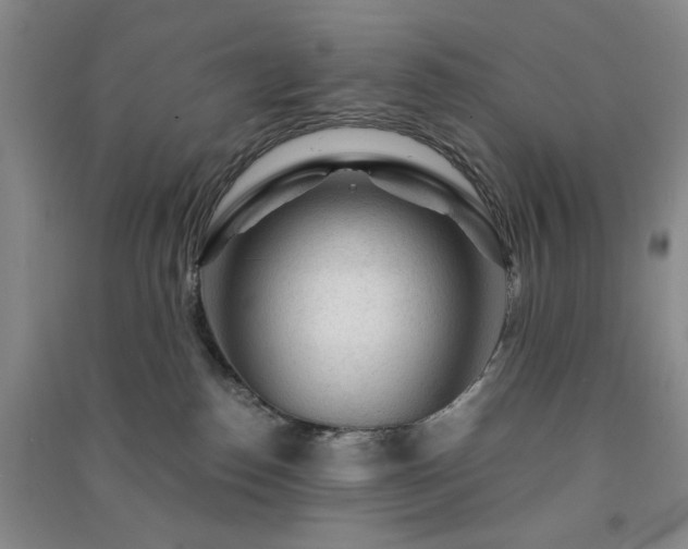 X0000091360186200708171531