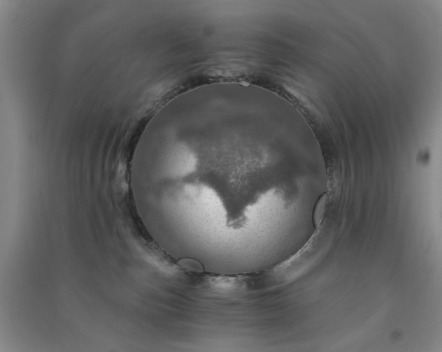 X0000091360187200708171531
