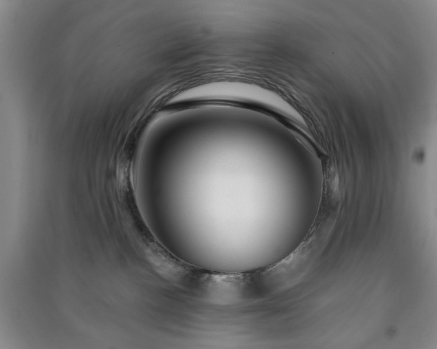 X0000091360188200708171531