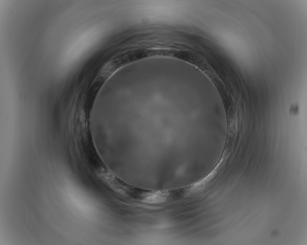 X0000091360191200708171531