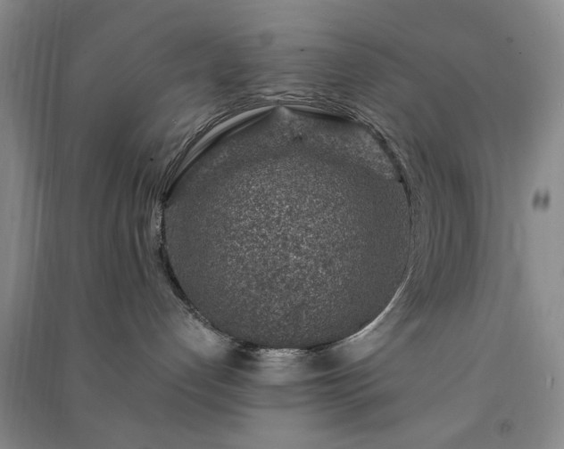 X0000091360192200708171531