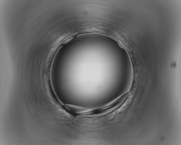 X0000091360193200708171531