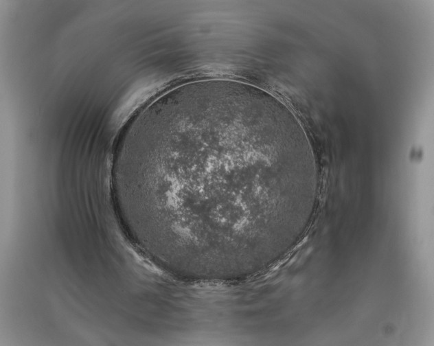 X0000091360194200708171531
