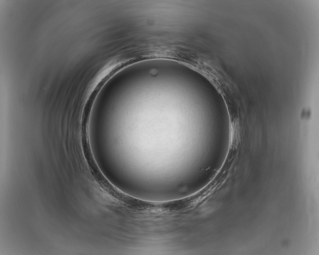 X0000091360195200708171531