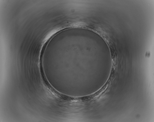 X0000091360196200708171531