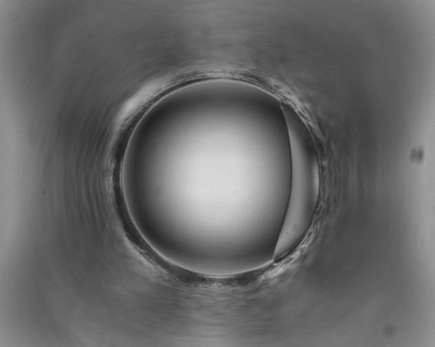 X0000091360197200708171531