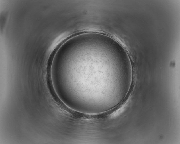 X0000091360199200708171531