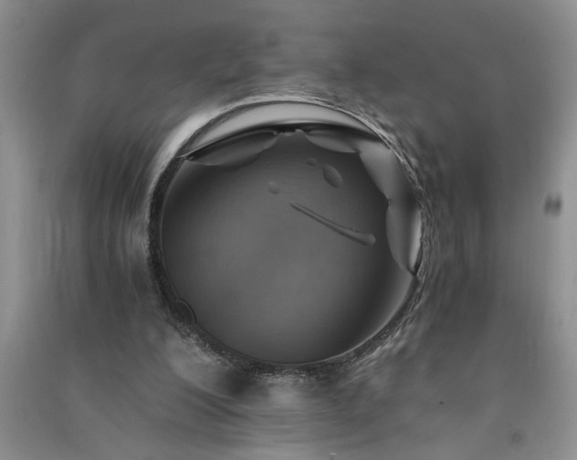 X0000091360200200708171531