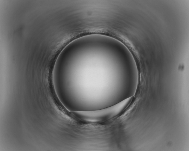 X0000091360201200708171531