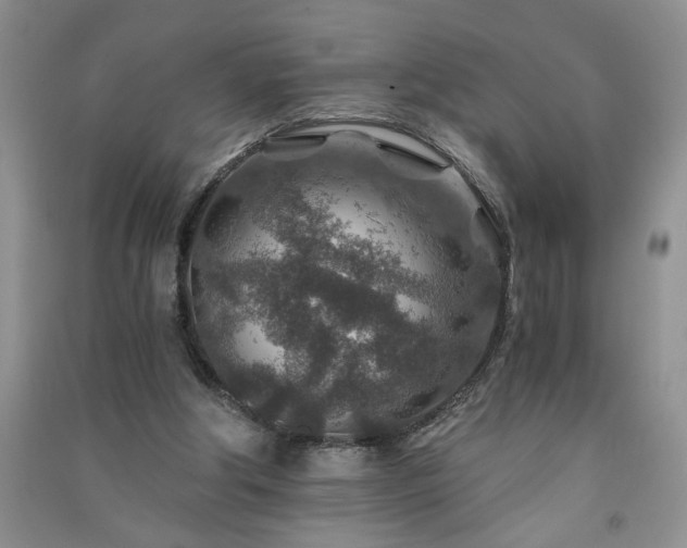 X0000091360202200708171531