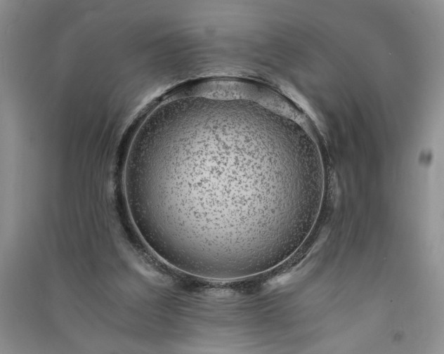 X0000091360203200708171531