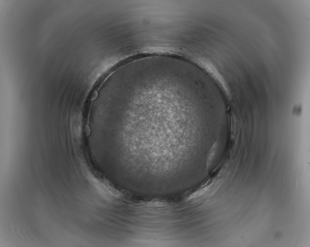 X0000091360204200708171531