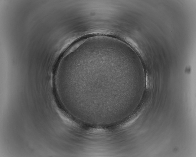 X0000091360205200708171531