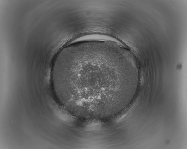 X0000091360206200708171531