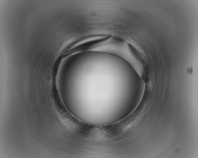 X0000091360207200708171531