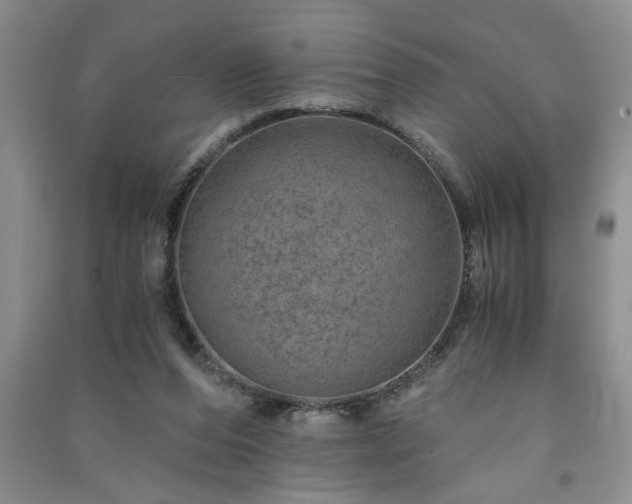 X0000091360208200708171531