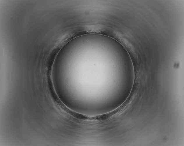 X0000091360209200708171531