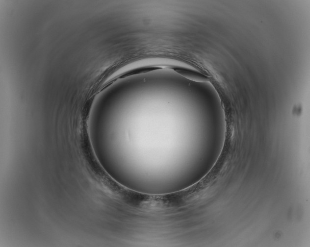 X0000091360211200708171531