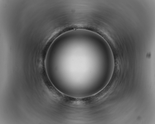 X0000091360212200708171531