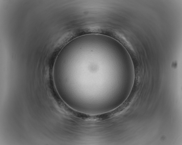 X0000091360213200708171531