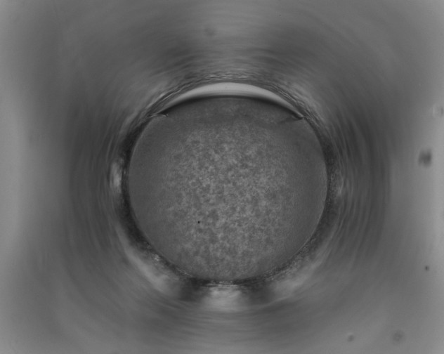 X0000091360214200708171531