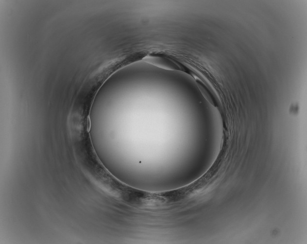 X0000091360215200708171531