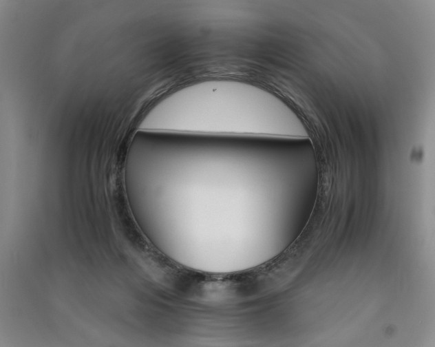 X0000091360216200708171530