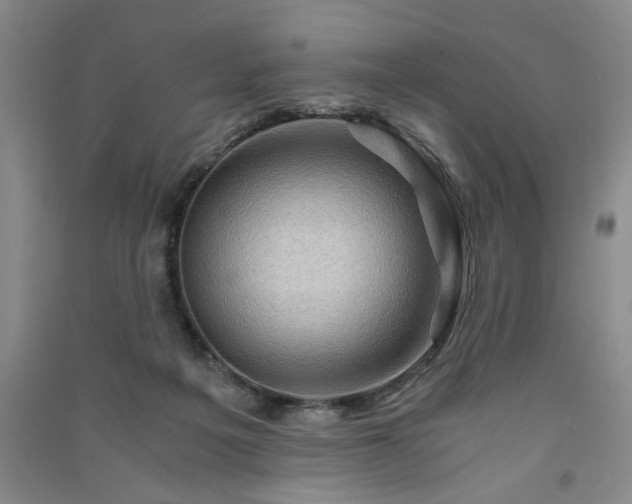 X0000091360217200708171530