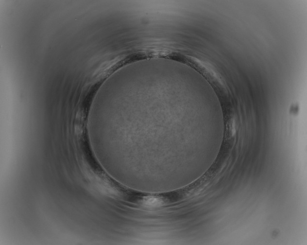 X0000091360218200708171530