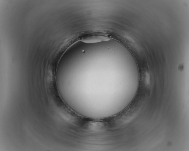 X0000091360220200708171530