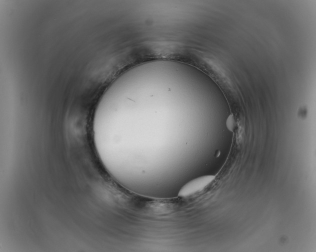 X0000091360221200708171530