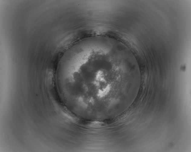 X0000091360222200708171530