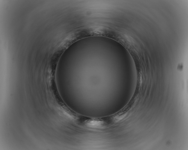 X0000091360223200708171530